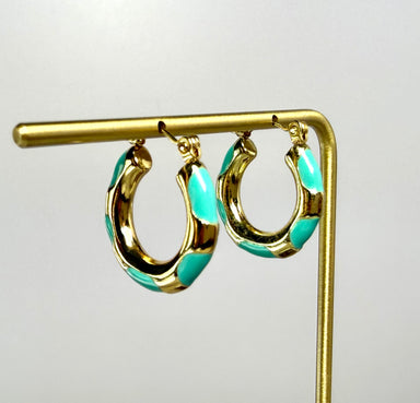 Cactus Hoops